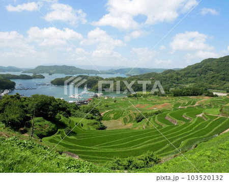 唐津市肥前町　大浦の棚田 103520132