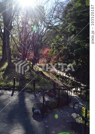 港区立芝公園 103520187