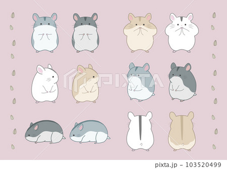ハムスターのイラストセット 103520499