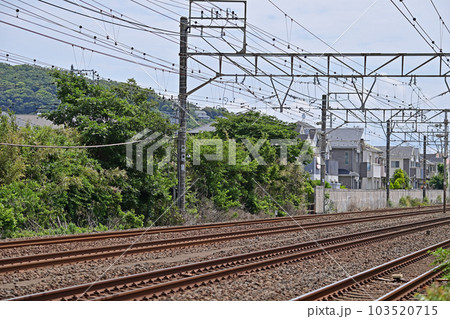 東海道本線　大磯ー二宮　JR東日本 103520715