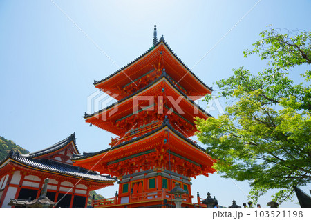清水寺の三重塔と若葉に新緑　青もみじ 103521198