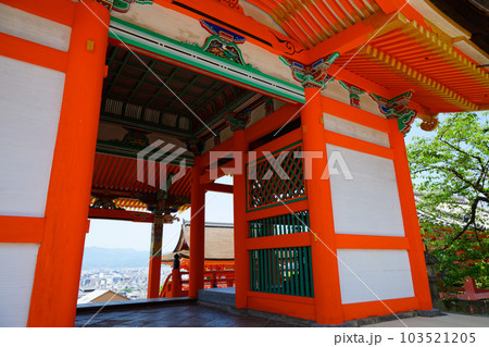 清水寺の西門　若葉に新緑 103521205