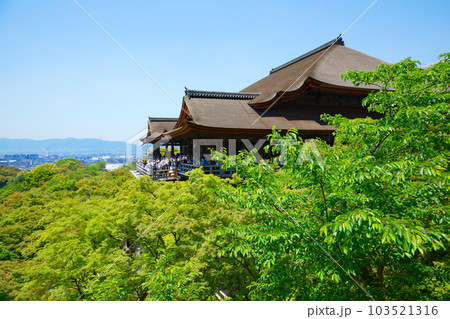 清水寺 清水の舞台 若葉に新緑 青もみじ 清水寺 清水の舞台 若葉に新緑 青もみじ 103521316