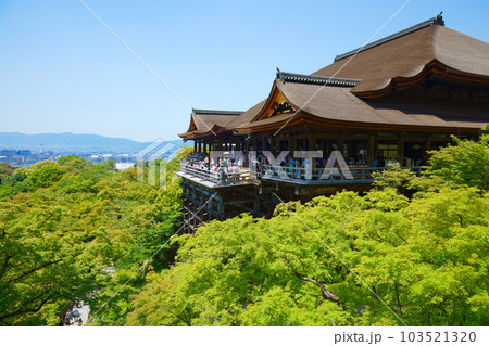 清水寺 清水の舞台 若葉に新緑 青もみじ 清水寺 清水の舞台 若葉に新緑 青もみじ 103521320