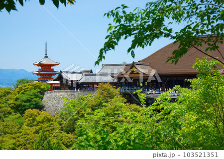 清水寺 三重塔と若葉に新緑 青もみじ 清水寺 三重塔と若葉に新緑 青もみじ 103521351