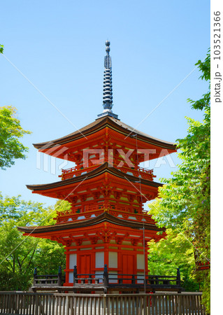 清水寺　子安の塔　若葉に新緑　青もみじ 103521366