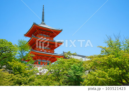 清水寺　三重塔と若葉に新緑　青もみじ 103521423