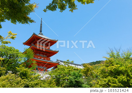 清水寺 三重塔と若葉に新緑 青もみじ 清水寺 三重塔と若葉に新緑 青もみじ 103521424