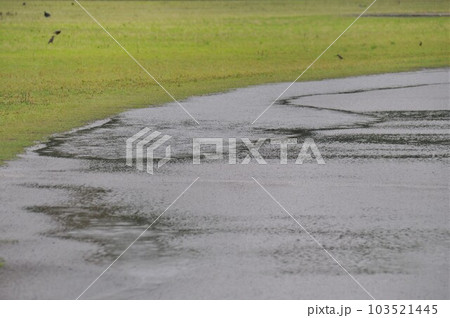 あいにくの雨模様で試合が雨天中止になった野球場 あいにくの雨模様で試合が雨天中止になった野球場 103521445