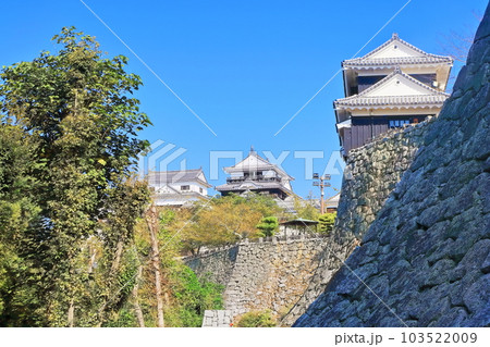 【愛媛県】松山城（現存12天守） 103522009