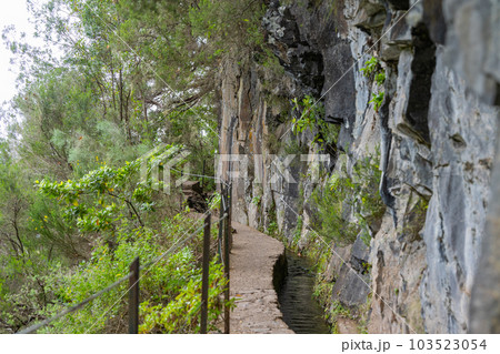 levada landscape on Madeira island levada landscape on Madeira island 103523054