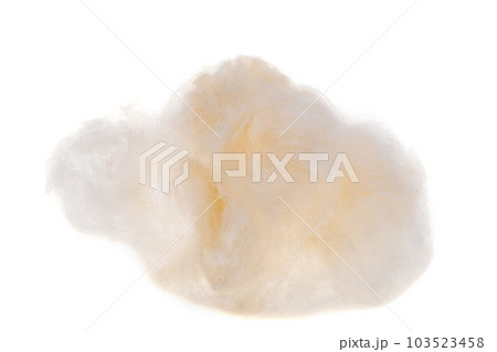 Ceiba pentandra on white background 103523458