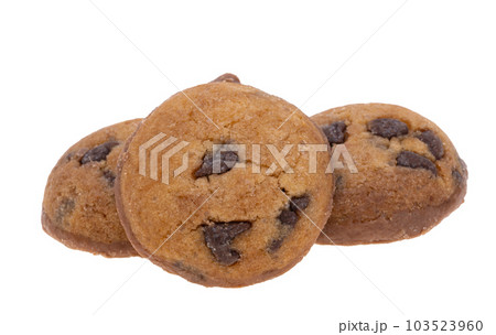 small chocolate chip cookies isolated 103523960