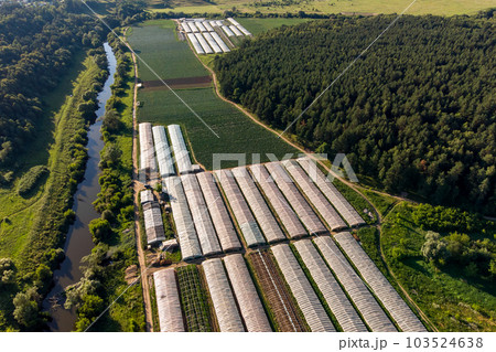 Aerial view of agricultural fields with greenhouses Aerial view of agricultural fields with greenhouses 103524638