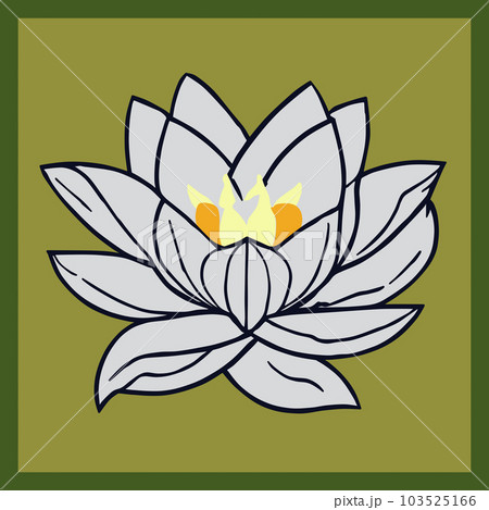 蓮の花 蓮の花 103525166