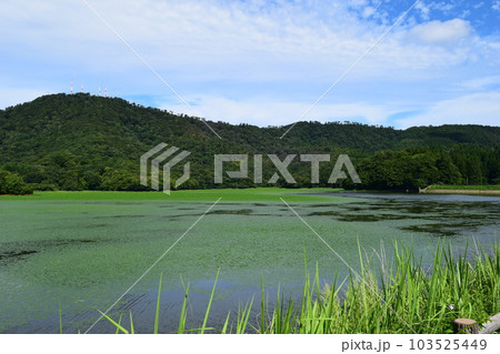 大山上池・下池 ラムサール条約登録地 103525449