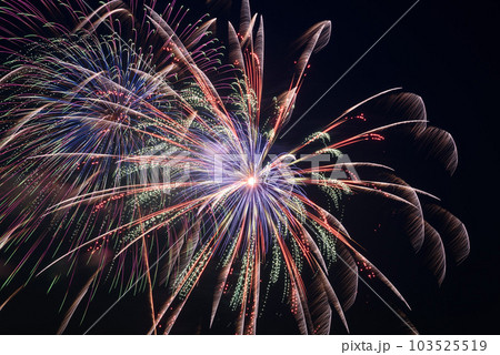 夏の大イベント・夜空を飾る花火（戸田橋花火大会） 103525519
