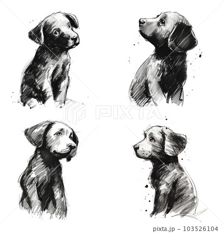 Pencil illustration of black labrador puppy. Generative AI Pencil illustration of black labrador puppy. Generative AI 103526104