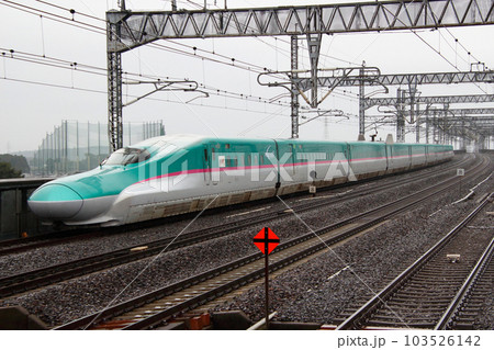 東北新幹線E5系(先行量産車:U1編成) 東北新幹線E5系(先行量産車:U1編成) 103526142
