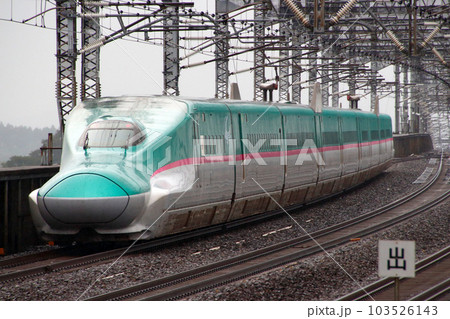 東北新幹線E5系(先行量産車:U1編成) 東北新幹線E5系(先行量産車:U1編成) 103526143