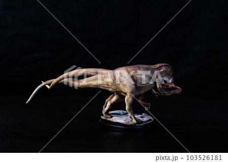Dinosaur Allosaurus in the dark 103526181