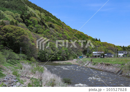 天竜川（長野県辰野町） 103527028