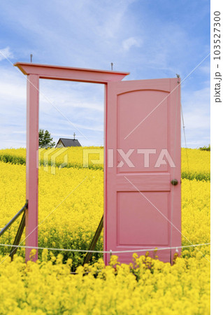 丘のある公園と菜の花畑　ピンクのドア　初夏のやくらい　宮城県加美町 103527300