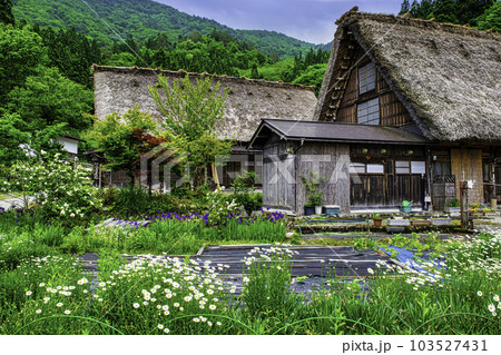 岐阜県　白川郷合掌造り集落　合掌造り民宿・きどや　世界遺産 103527431