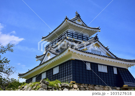 続日本100名城 浜松城天守閣 続日本100名城 浜松城天守閣 103527618