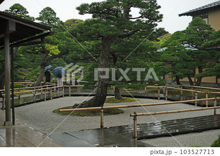 雨中の牡丹庭園の景色 雨中の牡丹庭園の景色 103527713