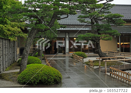 雨中の牡丹庭園の景色 雨中の牡丹庭園の景色 103527722