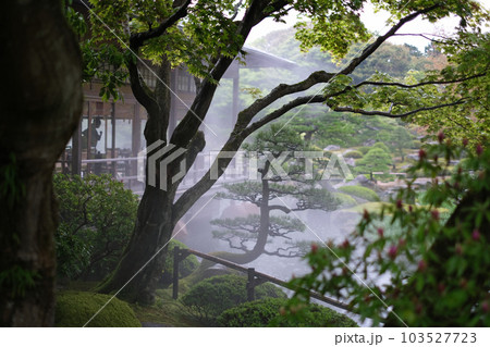 霧の漂う牡丹庭園の景色 103527723