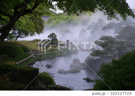 霧の漂う牡丹庭園の景色 霧の漂う牡丹庭園の景色 103527728