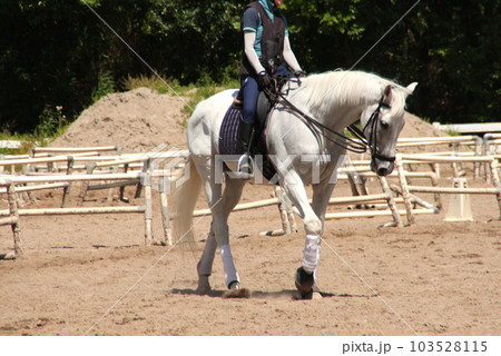 乗馬クラブの白馬 103528115