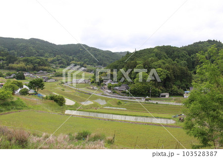 能勢 長谷 棚田 田園風景 【大阪府】 能勢 長谷 棚田 田園風景 【大阪府】 103528387