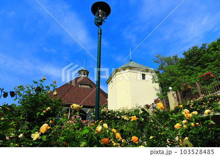【兵庫県】晴天の神戸布引ハーブ園 【兵庫県】晴天の神戸布引ハーブ園 103528485
