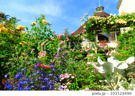 【兵庫県】晴天の神戸布引ハーブ園 【兵庫県】晴天の神戸布引ハーブ園 103528490