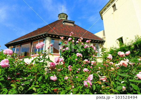 【兵庫県】晴天の神戸布引ハーブ園 【兵庫県】晴天の神戸布引ハーブ園 103528494