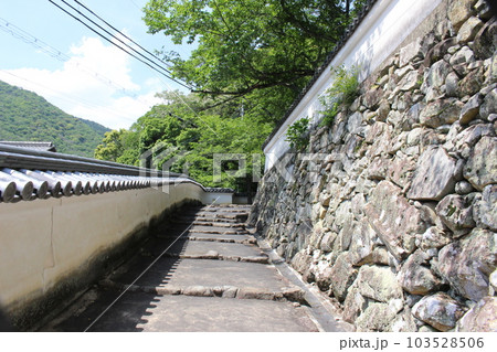 龍野城 龍野 鶏籠山城 【兵庫県】 龍野城 龍野 鶏籠山城 【兵庫県】 103528506