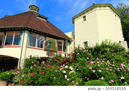 【兵庫県】晴天の神戸布引ハーブ園 【兵庫県】晴天の神戸布引ハーブ園 103528510