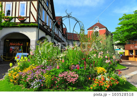 【兵庫県】晴天の神戸布引ハーブ園（ウェルカムガーデン） 103528518