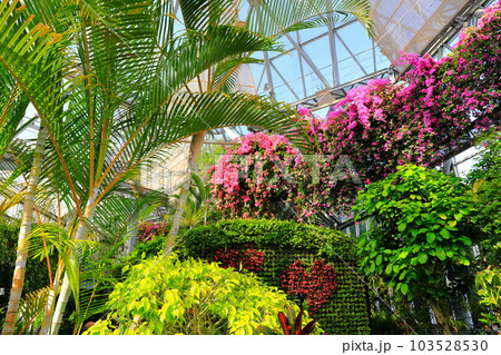 【兵庫県】神戸布引ハーブ園のグラスハウス 【兵庫県】神戸布引ハーブ園のグラスハウス 103528530