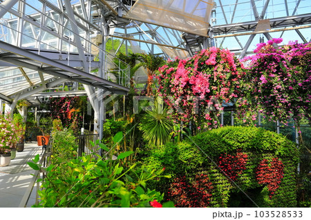 【兵庫県】神戸布引ハーブ園のグラスハウス 103528533