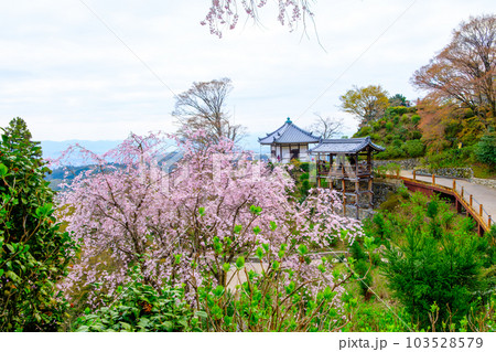 京都、西山善峯寺の白山 桜あじさい苑 103528579