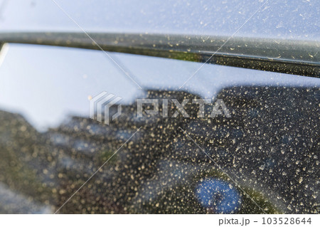 【気象現象】車体に付着した黄砂 【気象現象】車体に付着した黄砂 103528644