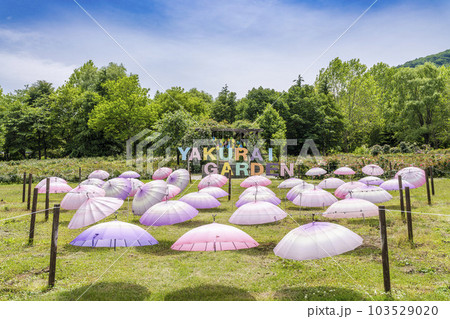 丘のある公園 初夏のやくらい 傘のモニュメント 宮城県加美町 丘のある公園 初夏のやくらい 傘のモニュメント 宮城県加美町 103529020