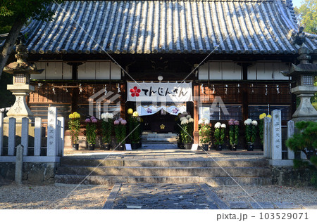 上宮天満宮割拝殿と菊花展 103529071