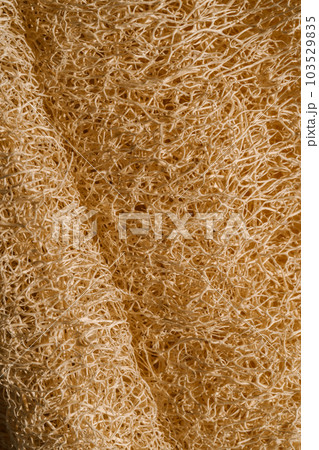 Texture of beige Loofah natural sponge close-up. Texture of beige Loofah natural sponge close-up. 103529835