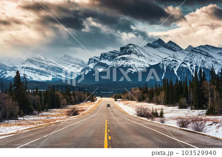 Road trip on highway between pine forest driving straight to rocky mountains in Icefields Parkway Road trip on highway between pine forest driving straight to rocky mountains in Icefields Parkway 103529940
