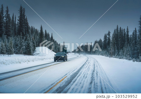 Car driving on the road through snowy pine forest and blizzard in national park on cloudy winter day Car driving on the road through snowy pine forest and blizzard in national park on cloudy winter day 103529952